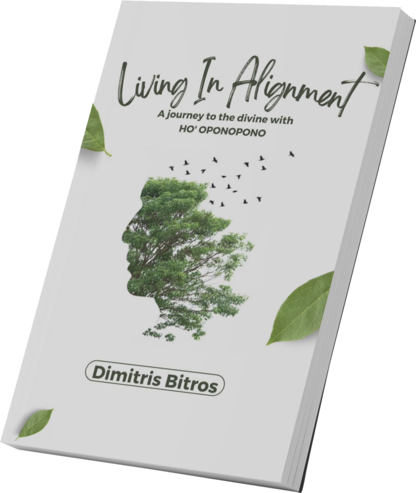Living in Alignment: A journey to the divine with Ho' oponopono audio and free ebook