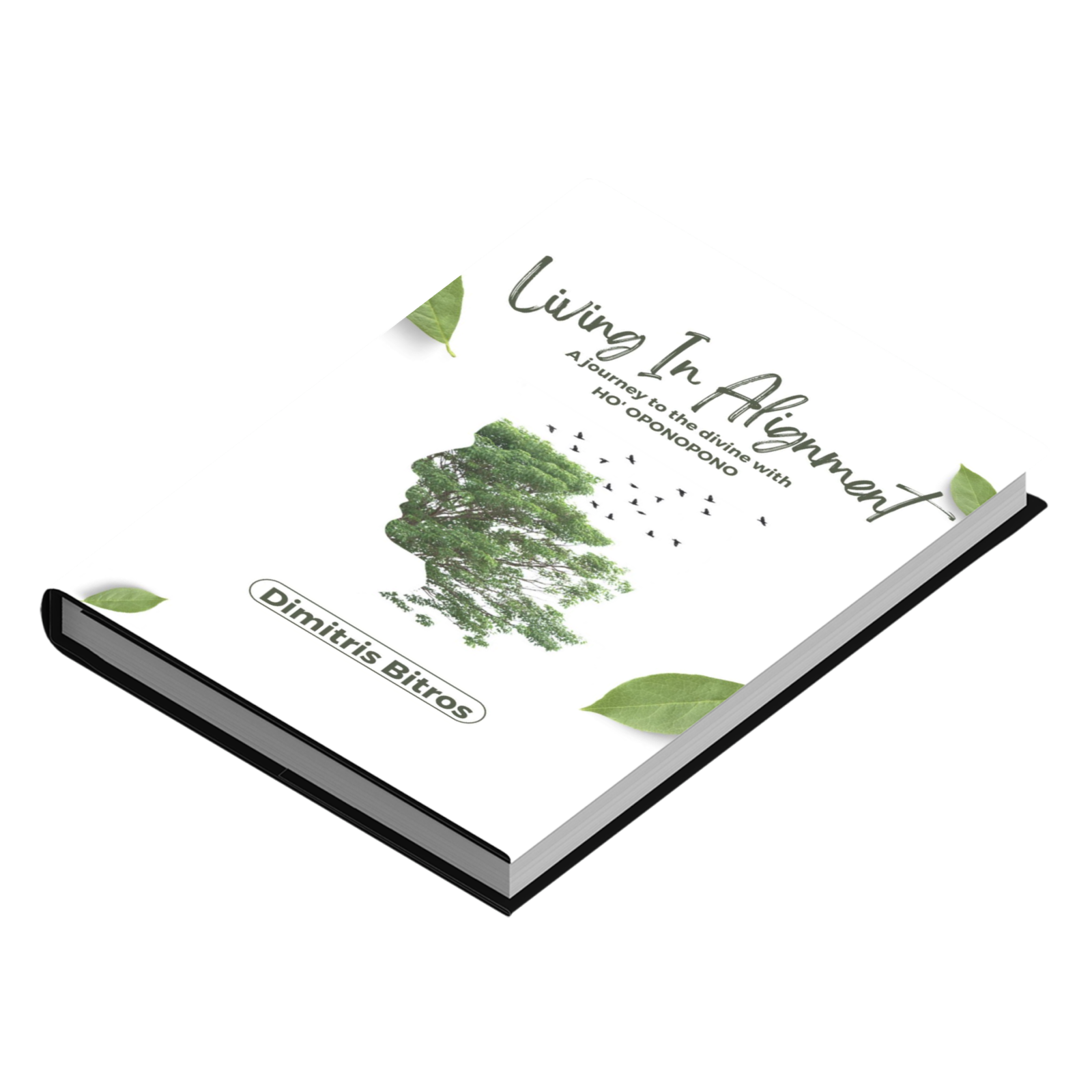 Living in Alignment: A Journey To The Divine With Ho' oponopono